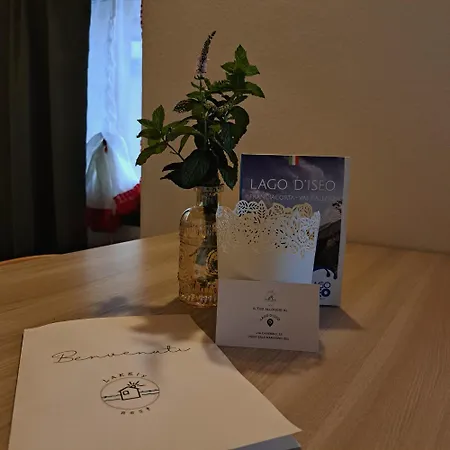 Lakely Nest Sale Marasino